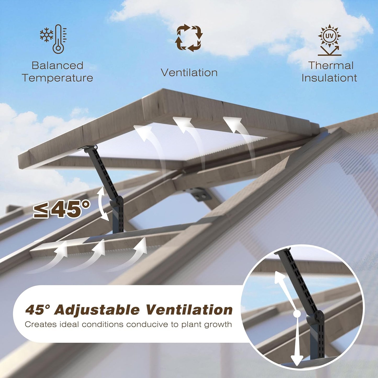 BlueWish 8x10 FT Greenhouse Kit, Wood Greenhouses with 6MM Polycarbonate Panel, Green House with Adjustable Vent & Lockable Door, Walk-in Greenhouse for Outside, Garden, Backyard