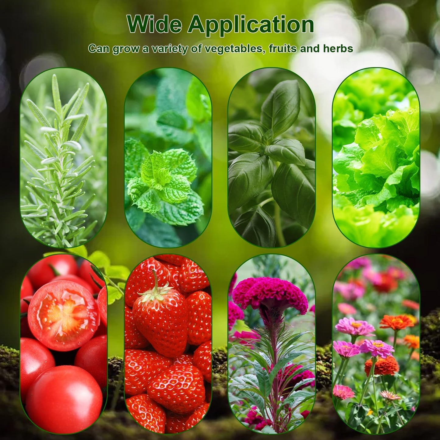 188pcs Hydroponics Supplies Kit with 100 Grow Sponges, 12 Grow Baskets, 12 Grow Domes, 50 Labels, 200ml Hydroponics Nutrients A&B, 12 Plant Spacers - Hydroponics Garden Accessories