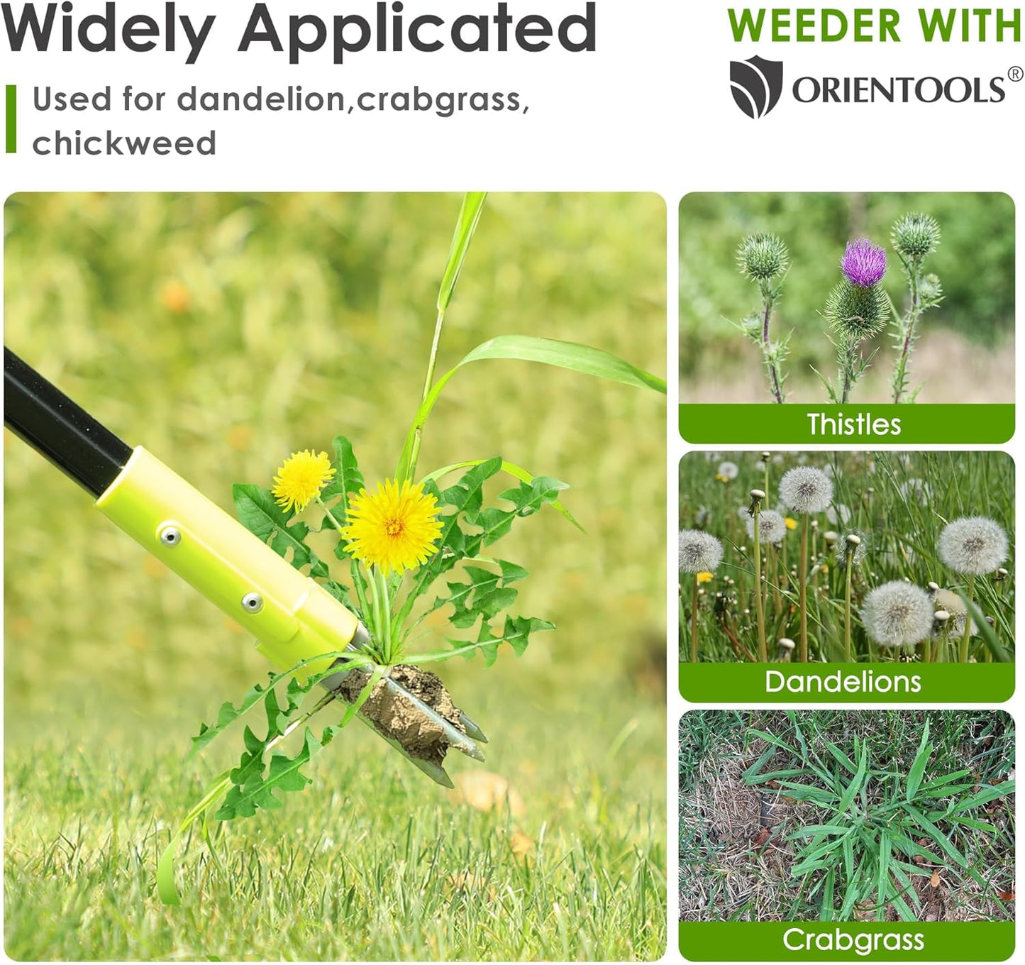 ORIENTOOLS 3 Claws Weed Puller Tool, Stand Up Weed Puller with Long Ergonomic Handle, Weed Puller Tool Stand Up Heavy Duty, Dandelion Picker, Garden Tools for Weeding, Weed Remover Tool for Lawn, Yard