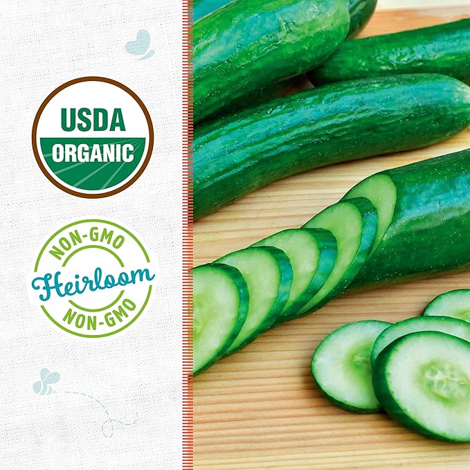 Back to The Roots 100% Organic Heirloom Seeds - Burpless Cucumber Value Pack (3g Total)