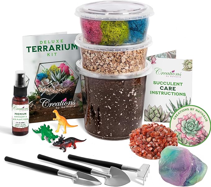 – Premium Small DIY Terrarium Kit for Succulents, Cacti & Air Plants, Includes Soil, Moss, Pebbles, Tools, Amethyst Gem & Crystal Chips – Handmade in USA