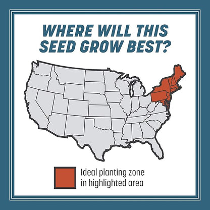 Pennington Smart Seed Northeast Grass Mix 7 lb