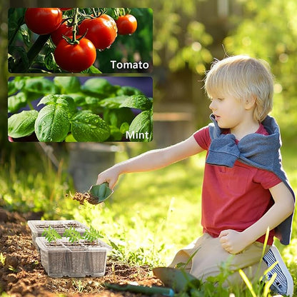 Bonviee 10 Packs Seed Starter Tray with Elevated Lid, 120 Cells Thicken Seed Starting Trays Kit with Adjustable Humidity Vent, Clear Cell Tray and Heightened Lids for Greenhouse & Gardens, Clear