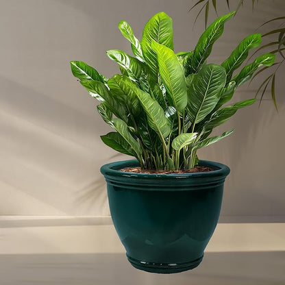 Sunnydaze Large Ceramic Plant Pot - Round Outdoor Glazed Ceramic Planter Pot with Drainage - Studio - Dark Green - 18.5"