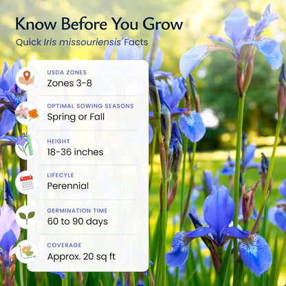 Created By Nature Wild Iris Seeds, 400 Purple Perennial Flower Seeds