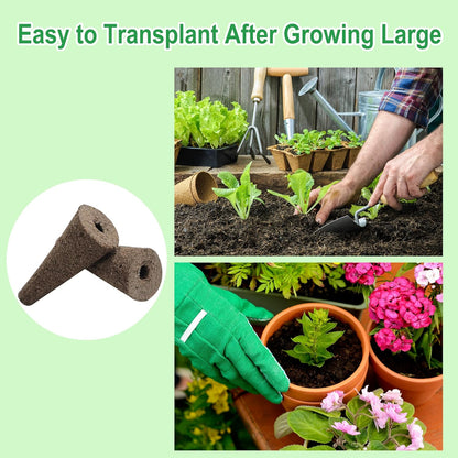 80pcs Grow Sponges Replacement Seed Pods Compatible with AeroGarden,iDOO Refill Pods for Hydroponics Growing System Supplies