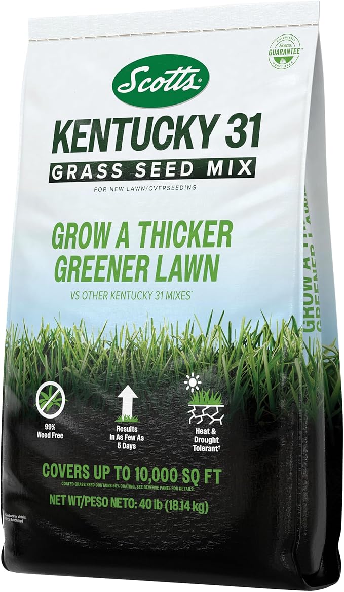 Scotts Kentucky 31 Grass Seed Mix for New Lawns or Overseeding, Grows Thicker and Greener vs. Other Kentucky 31 Mixes, Covers up to 10,000 sq. ft.