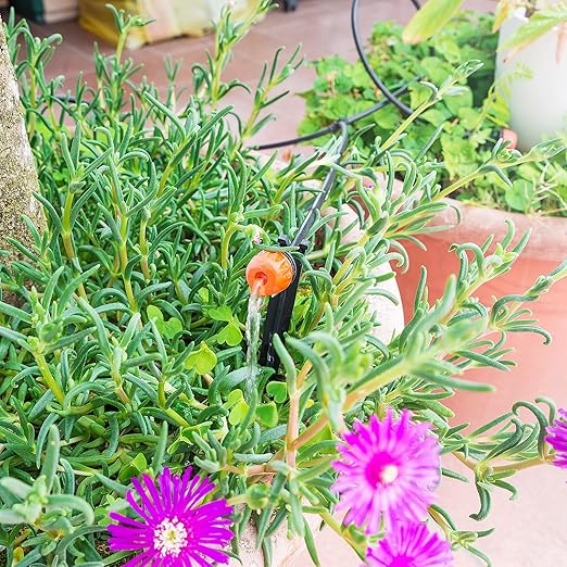 100 Pieces Drip Irrigation Support Stakes for 1/4 Inch Tubing: 1/4'' Drip Tube Holder Stakes for Irrigation Hose Emitter Support Greenhouse Garden Vegetable Flower Beds Herbs Growing