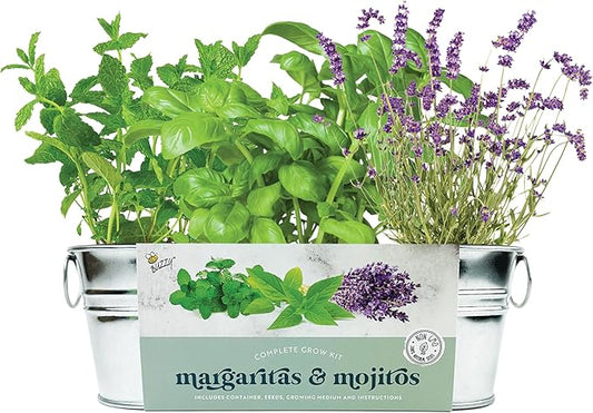 BUZZY Seeds Margarita and Mojito Windowsill Mini Garden Grow Kit, Herb Starter Set with Mint, Lime Basil and Lavender Seeds, Grow Your Own Herbs Indoors, Gardening Gift, Holiday Present