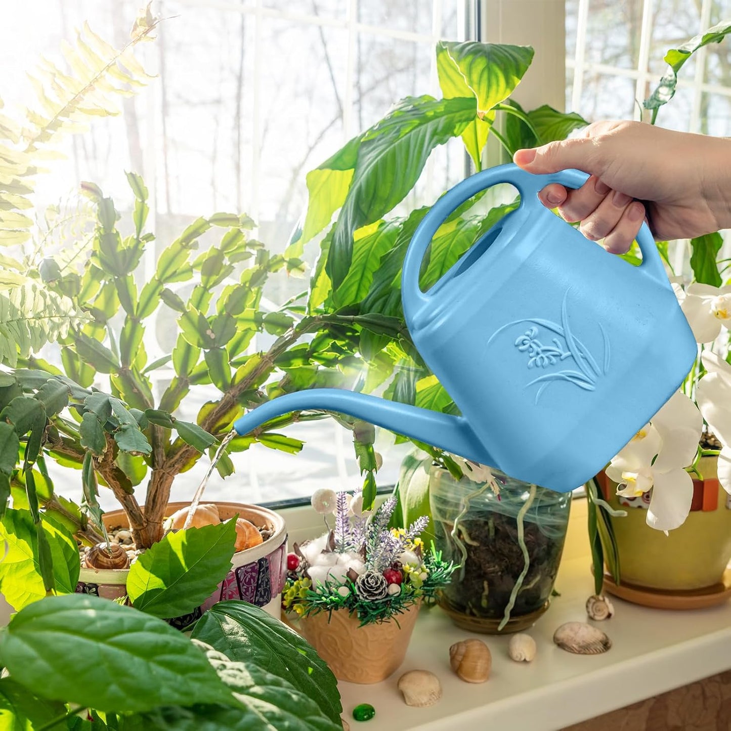 Plastic Watering Can - for Indoor and Outdoor Plant - 1/2 Gallon - SkyBlue