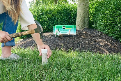 Miracle-Gro Tree & Shrub Plant Food Spikes, 12 Spikes (2-Pack)