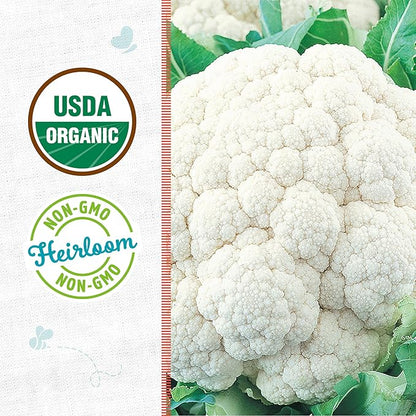 Back to The Roots 100% Organic Heirloom Seeds - Cauliflower Value Pack (1g Total)