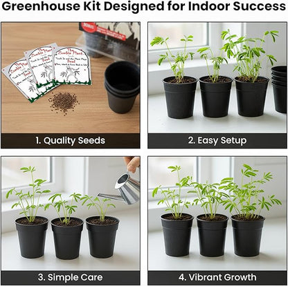 Zombie Plant Greenhouse Grow Kit - Touch It and Watch It Play Dead - Unique Grow Kit to Cultivate a Fun Indoor Plant That Revives in Minutes - Cool Plants and Great for Housewarming Gifts
