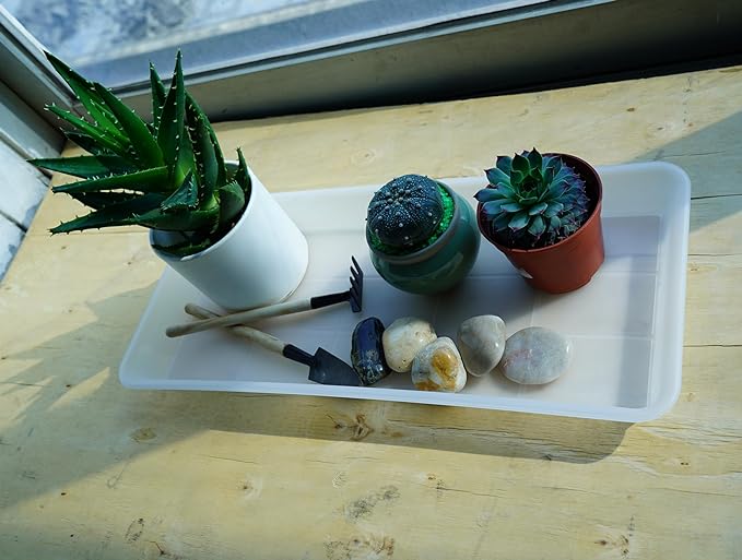 2 Pack of Plastic Plant Tray Saucer Rectangular, Plant Trays Saucers for Indoors Outdoor, Plant Water Drip Tray for Flower Pot Planter, Windowsill Plant Tray (6.5 X 13 Inch, Clear)