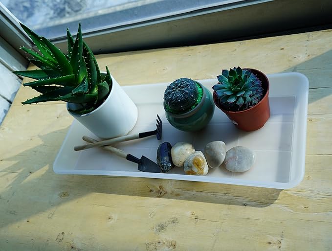 2 Pack Plastic Plant Tray Saucer Rectangular, Indoors Outdoor Plant Water Drip Tray for Flower Pot Planter, Windowsill (6 X 11 Inch, Clear)