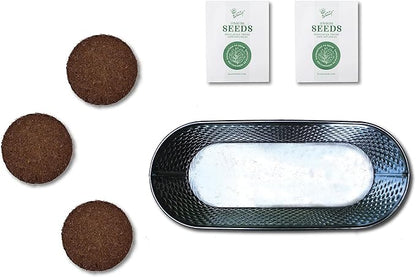 BUZZY Seeds Easy to Grow Rosemary and Sage Windowsill Herb Kit, Decorative Planter Includes Seed Packets and Growing Medium, Indoor Gardening Gift, Seed Starter, Birthday Present Idea