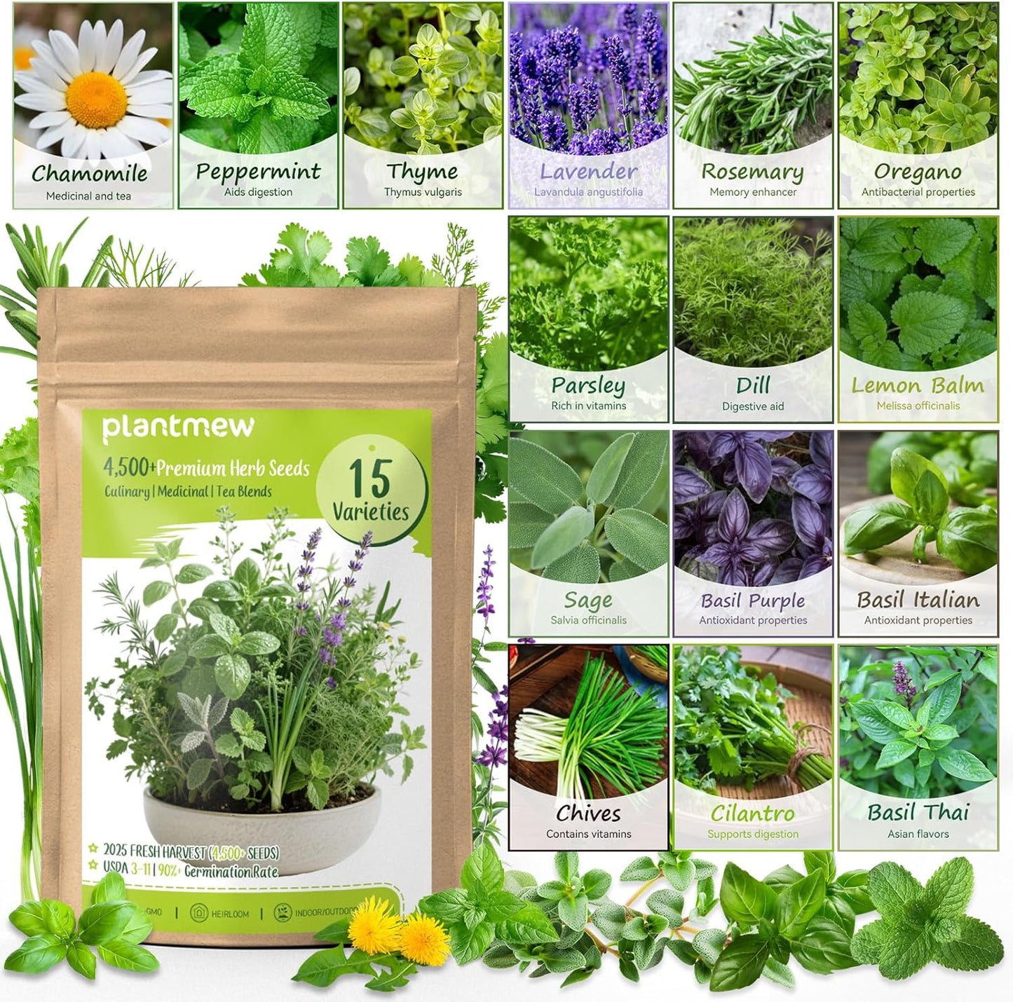 Herb Seeds 15-Pack – 4,500+ Non-GMO Heirloom Seeds for Planting – Indoor & Outdoor Herb Garden Kit with Basil, Cilantro, Rosemary, Thyme, Dill, Sage – Medicinal & Culinary Herb Seeds Variety Pack