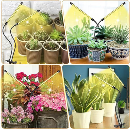 LED Grow Lights (2 Packs), 2 Heads Full Spectrum Plant Light with Clamp for Indoor Plants & Seed Starting, 10-Level Dimmable, Auto On Off, Timing 4 6 12Hrs