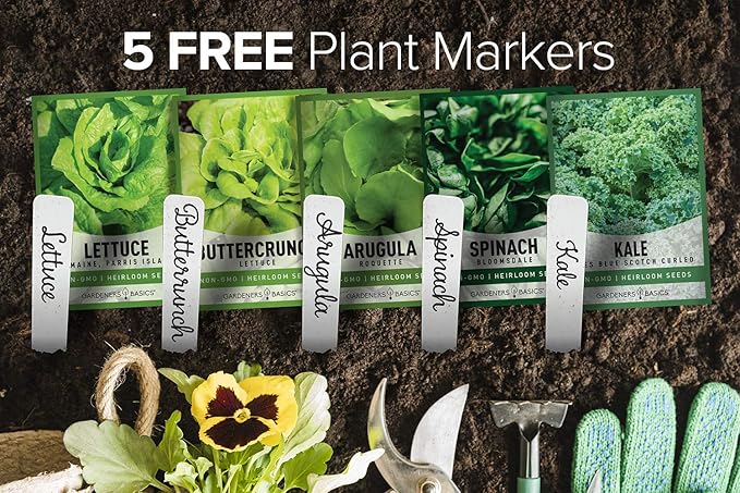 Gardeners Basics Lettuce and Greens Heirloom Vegetable Seed Non-GMO Seeds for Planting Indoors and Outdoor - Lettuce Buttercrunch, Romaine, Arugula, Kale and Spinach, Pack of 5