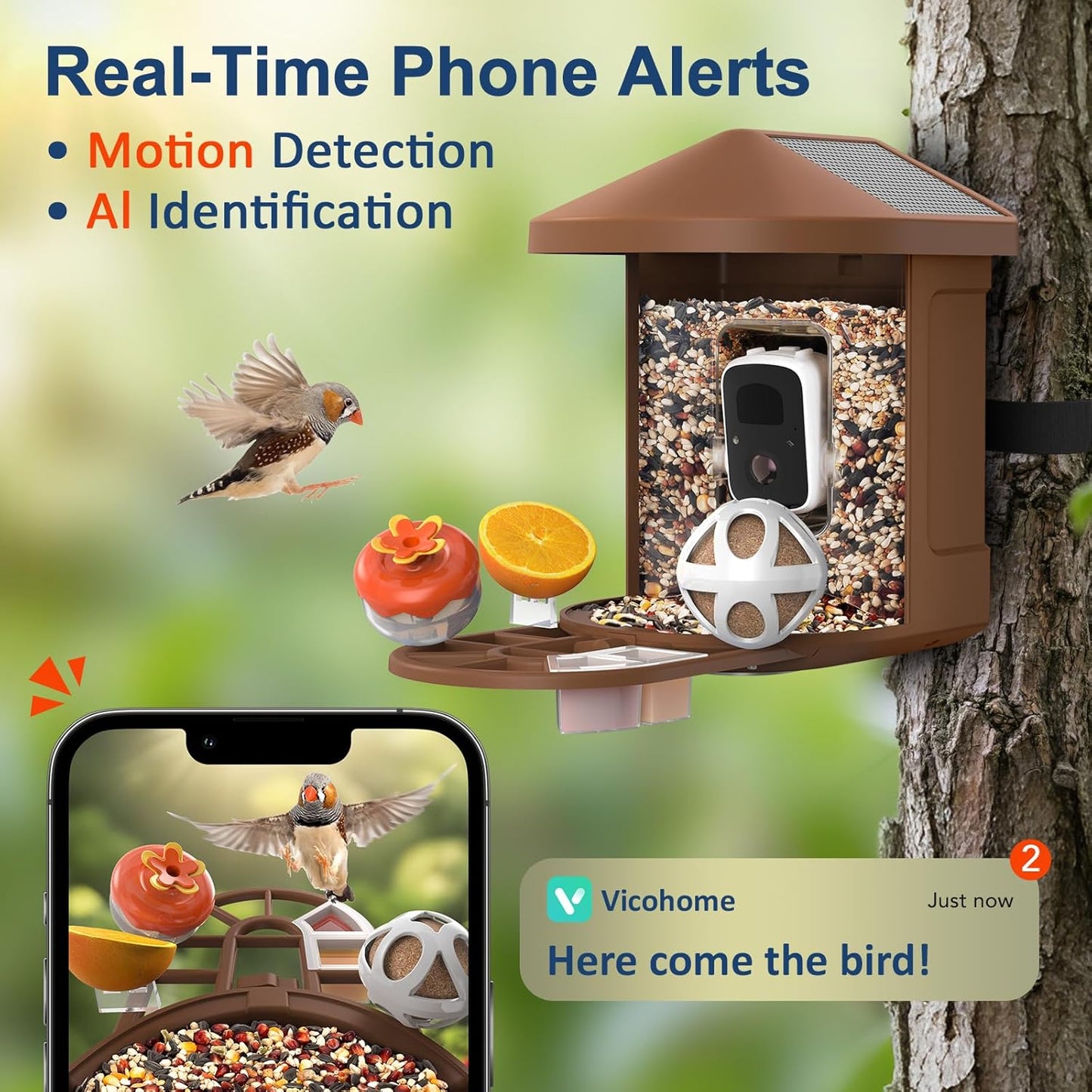 PeckCam® Bird Feeder with Camera with AI Identify 10000+ Birds Species, 3 Solar Panels, 2K Live View, Instant Arrival Alerts, Smart Bird House with Cam, Gift for Bird Lovers