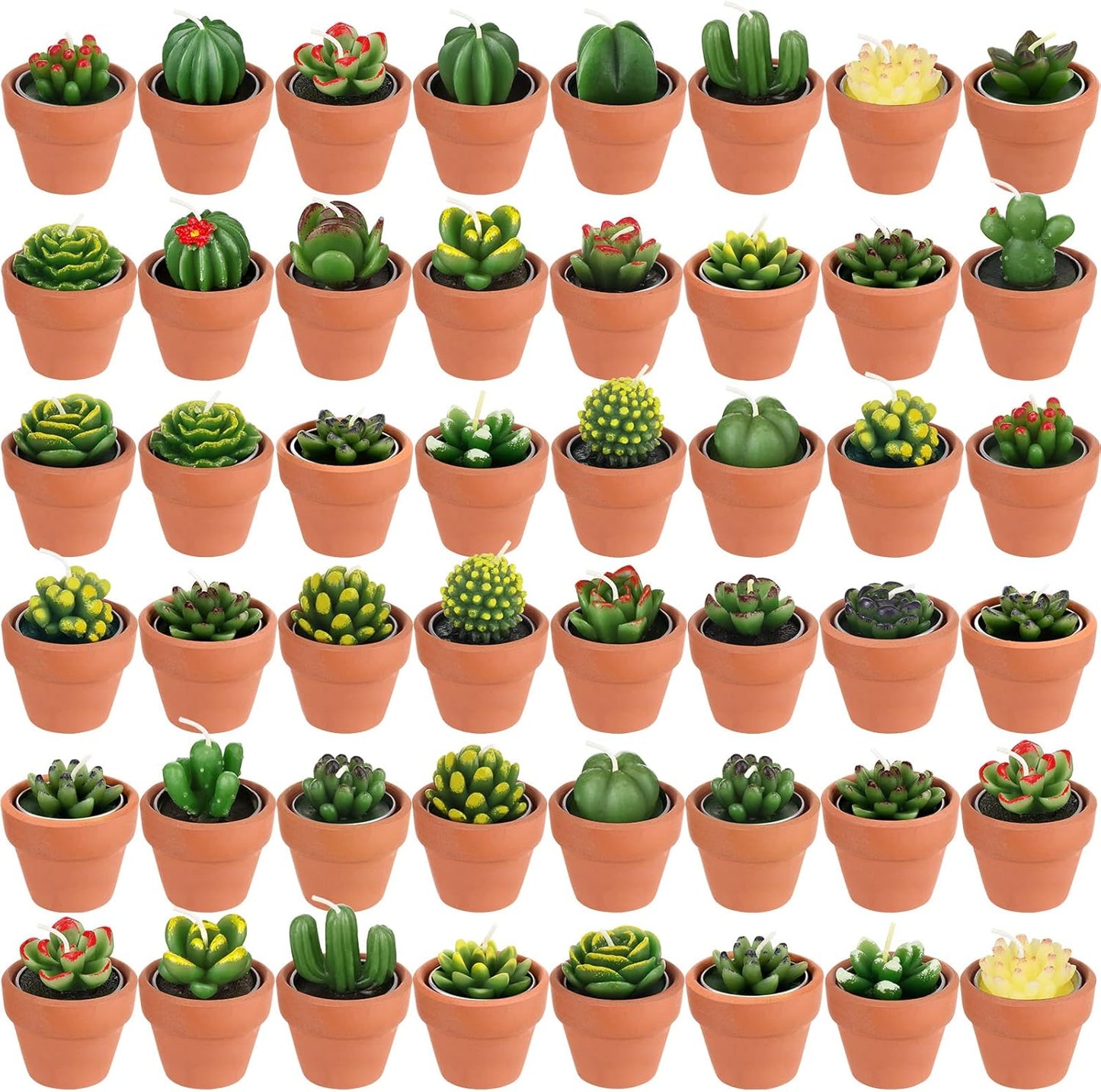 Shihanee 48 Pcs Succulent Cactus Decorative Tealight Baby Shower Plant Candles Bridal Shower Novelty Handmade Tealight Terrarium Plant Candles for Fiesta Birthday Wedding Party(Red)
