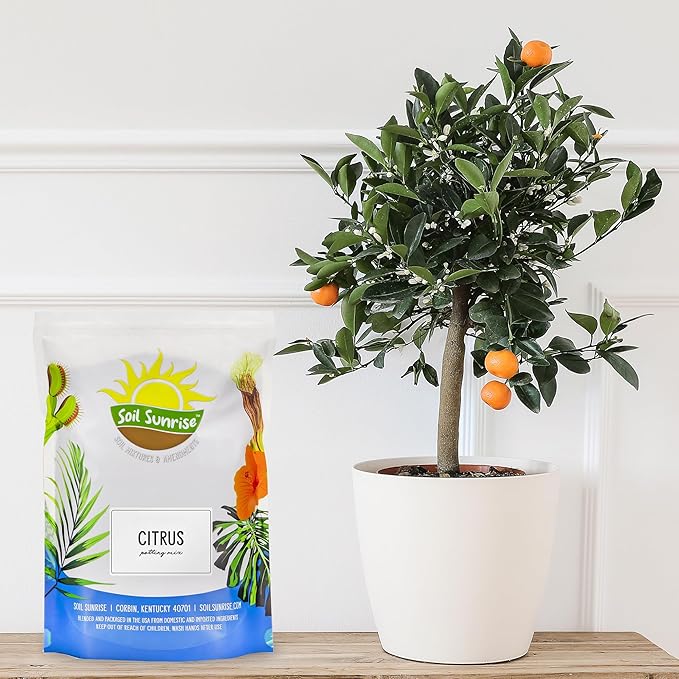 Citrus Tree Potting Soil Mix (30 Quarts), Special Blend for Indoor Oranges, Lemons, Limes and More