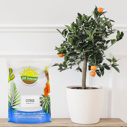 Citrus Tree Potting Soil Mix (30 Quarts), Special Blend for Indoor Oranges, Lemons, Limes and More