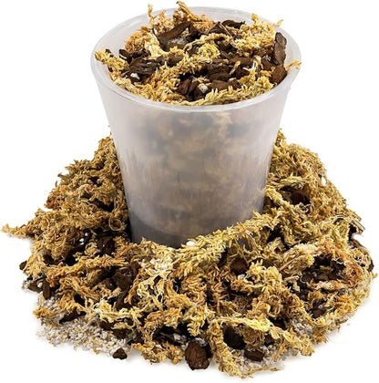 Premium Sphagnum Moss, Perlite and New Zealand Pine Bark Blend for Carnivorous Plants - Perfect for Venus Fly Traps, Pitcher Plants, Sarracenia, Butterworts, and Sundews by GARDENERA - 4 Quart Bag