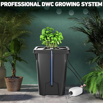 DWC Hydroponics Growing System with Top Drip Kit 7 Gallon Deep Water Culture Bucket System with Air Pump, Air Stone, Air Hose, Recirculating Drip Garden System