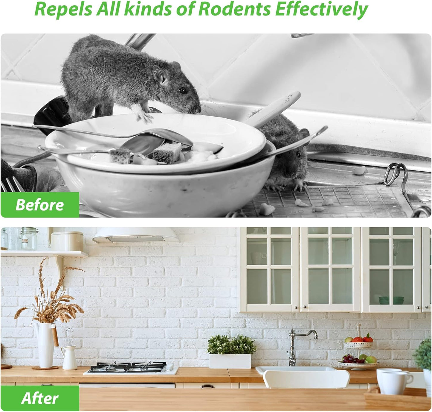 MAGIC CAT Rodent Repellent Peppermint Oil to Repel Mice & Rats, 10 Pack Natural Rat Deterrent for Indoor Home Pet Family Safe, Mouse Stopper for Car Engine RV Truck Garage Closet Boat Rodent Control