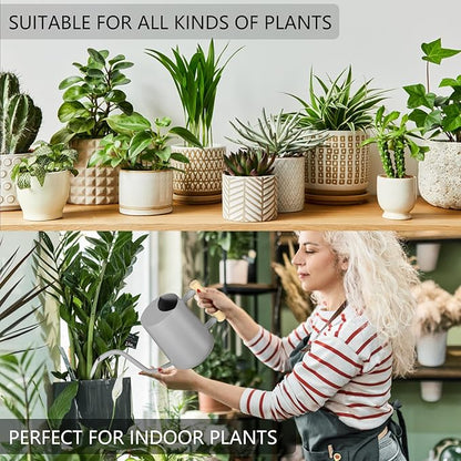 Watering Can Indoor Plants, 35oz Small Indoor Stainless Steel Metal Watering Can Modern Decorative Watering Pot with Long Spout for Indoor House Plant Bonsai Garden Flowers (Gray)