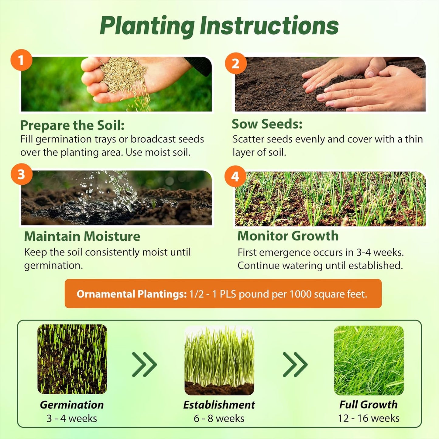 Outsidepride Perennial Andropogon Big Bluestem Grass Seed - 5 lbs. Warm Season, Drought Resistant, Native Prairie Grass Seed, Ideal for Erosion Control, Ornamental Landscaping & Wildlife Gardens