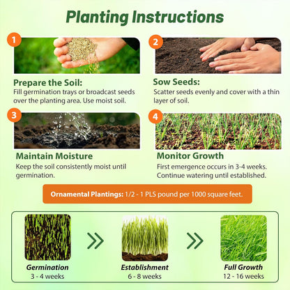 Outsidepride Perennial Andropogon Big Bluestem Grass Seed - 1 lb. Warm Season, Drought Resistant, Native Prairie Grass Seed, Ideal for Erosion Control, Ornamental Landscaping & Wildlife Gardens