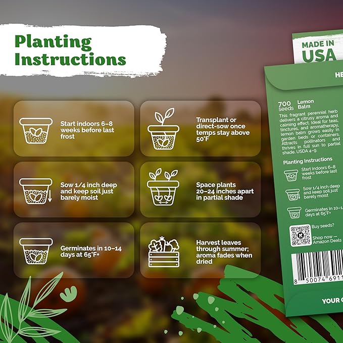 KVITER 700 Lemon Balm Seeds for Planting (Melissa Officinalis) – Heirloom & Organic Medicinal Herb Seeds – Grow in Herb Garden, Pots, Beds Indoors & Outdoors for Calming Lemon Balm Tea