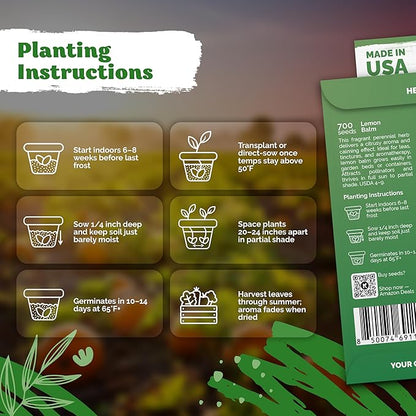 KVITER 700 Lemon Balm Seeds for Planting (Melissa Officinalis) – Heirloom & Organic Medicinal Herb Seeds – Grow in Herb Garden, Pots, Beds Indoors & Outdoors for Calming Lemon Balm Tea