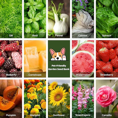 Lush&Dew Pet-Friendly Heirloom Seed Bank, Gardening Gifts for Women Men, 16 Varieties 15,000+ Non-GMO Seeds for Planting Herbs Flowers Vegetables in Raised Bed Windowsill, Annuals & Perennials