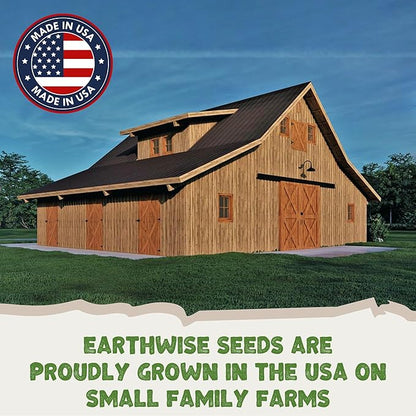 Earthwise Low Grow Alternative Lawn Mix, No Mow Grass Seed, 1/2 lb, Covers 200 sq. ft. Bare or 500 sq. ft. Overseed