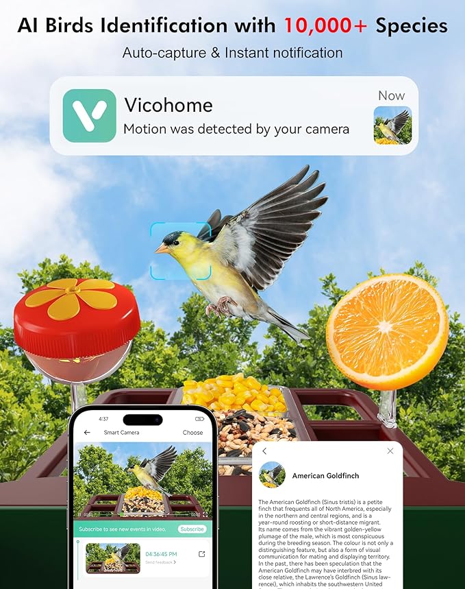 Smart Bird Feeder with Camera,5200mAh Battery with Solar Panel, 4K Native Resolution Live View, AI Species Identification, Auto Capture & Instant Arrival Alert, Ideal Gift for Bird Lovers (Red Green)