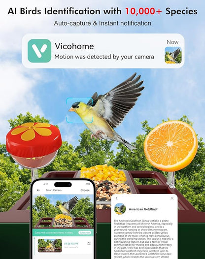 Smart Bird Feeder with Camera,5200mAh Battery with Solar Panel, 4K Native Resolution Live View, AI Species Identification, Auto Capture & Instant Arrival Alert, Ideal Gift for Bird Lovers (Red Green)