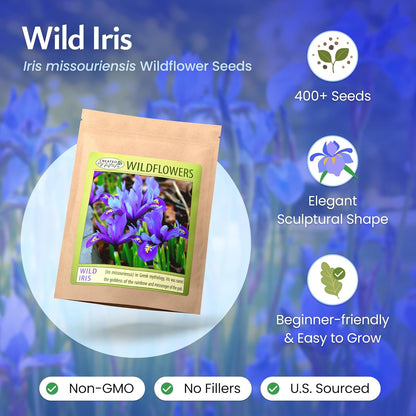 Created By Nature Wild Iris Seeds, 400 Purple Perennial Flower Seeds