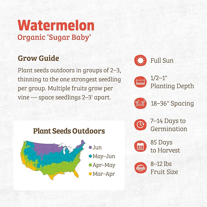 Back to The Roots 100% Organic Heirloom Seeds - Small Watermelon Value Pack (3.4g Total)