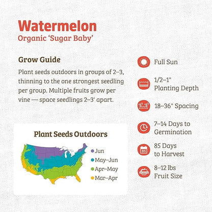 Back to The Roots 100% Organic Heirloom Seeds - Small Watermelon Value Pack (3.4g Total)