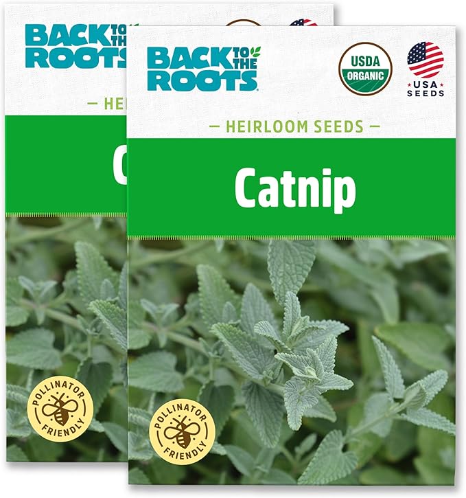 Back to The Roots 100% Organic Heirloom Seeds - Catnip Mint Seeds for Planting Value Pack (200mg Total)