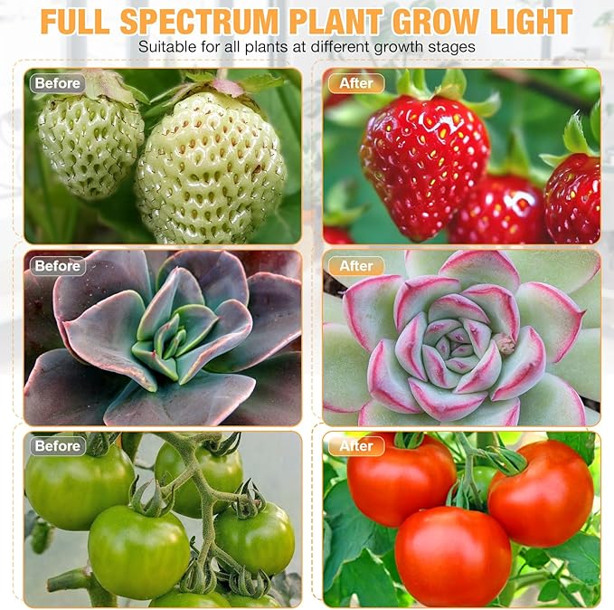 LED Grow Lights (2 Packs), 2 Heads Full Spectrum Plant Light with Clamp for Indoor Plants & Seed Starting, 10-Level Dimmable, Auto On Off, Timing 4 6 12Hrs