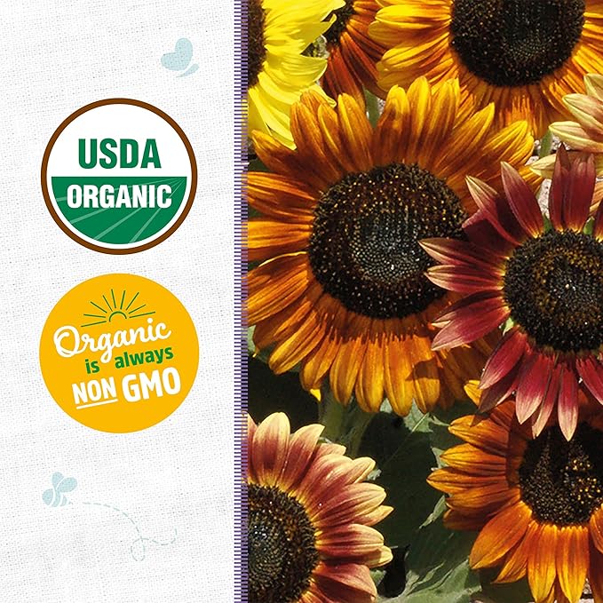 Back to The Roots 100% Organic Heirloom Seeds - Sunflower 'Helianthus' Value Pack (1.4g Total)