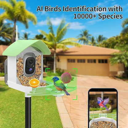 Bird Feeder with Camera, AI Identify Birds Species, FHD 2K Video Quality Bird Watching, Wireless Outdoor Weatherproof Birds House, Solar-Powered, for Garden, Yard,Patio, Green