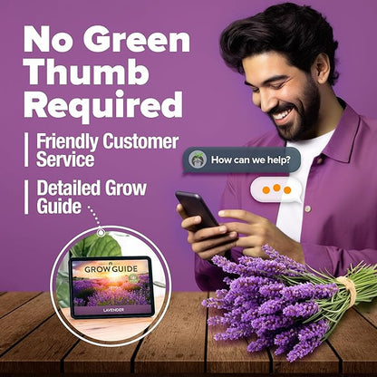 HOME GROWN 𝗨𝗦𝗔 𝗣𝗥𝗘𝗠𝗜𝗨𝗠 English Lavender Seeds 1,500+ 𝗡𝗢𝗡-𝗚𝗠𝗢 Wildflower Seed for Planting Indoor/Outdoor, High Germination, Plant Flower Seeds (Lavandula antustifolia)