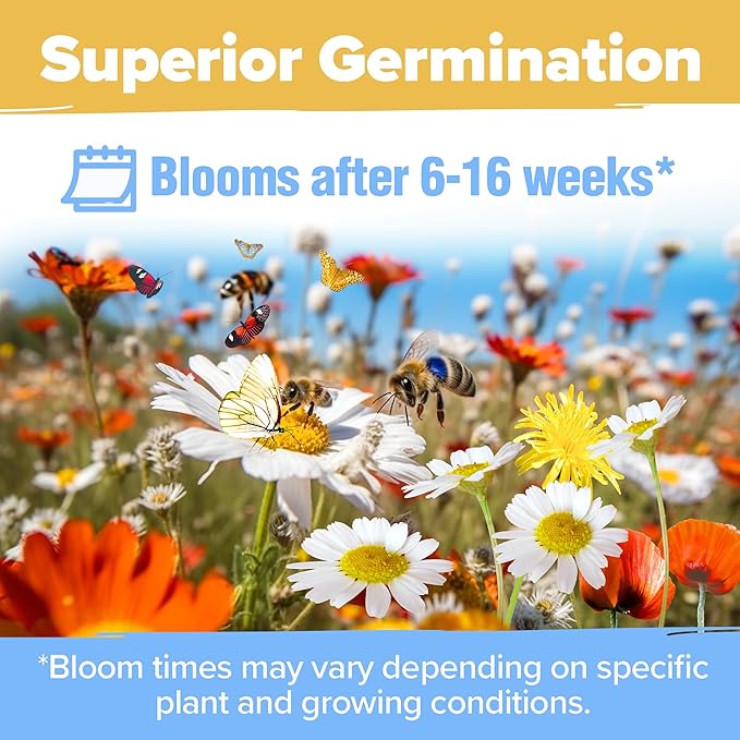 HOME GROWN Wildflower Seeds (3oz) 89,000+ Flower Seed Mix | No Filler | 19 Varieties, USA-Sourced Bulk Wild Flowers Seeds for Planting, Butterfly & Pollinator Perennial and Annual Wild Flower Mix