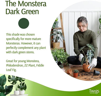 Twigs - Monstera Plant Support Stakes for Indoor & Outdoor Plants, Gardening Supplies, Garden Accessories, Trellis, Moss Pole, & Ring Alternative - Monstera (Dark Green), 10 Pack, 12" L, Mini Twigs