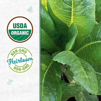 Back to The Roots 100% Organic Heirloom Seeds - Romaine Lettuce Value Pack (840mg Total)